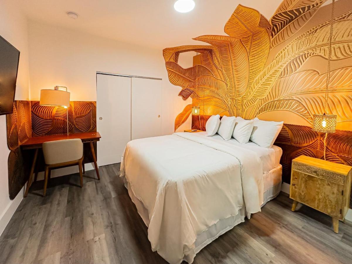 Wynwood Apartments And Studios 迈阿密 外观 照片