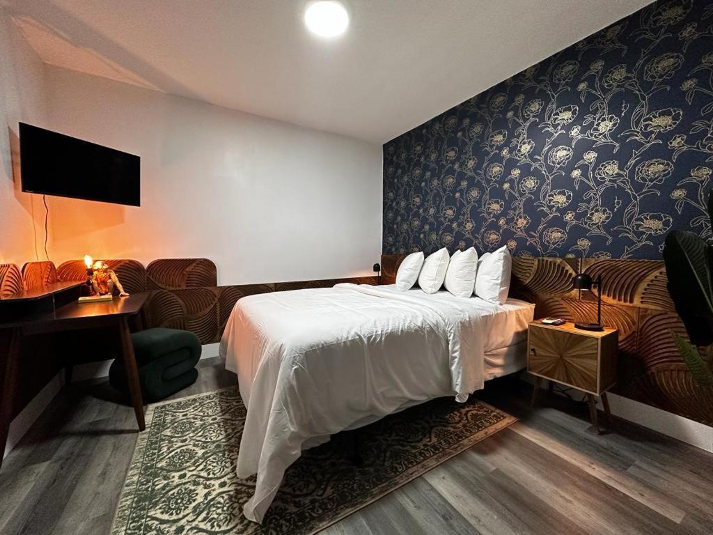 Wynwood Apartments And Studios 迈阿密 外观 照片